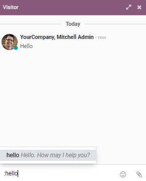 Vue d'une fenêtre de chat et l'utilisation d'une réponse enregistrée dans Odoo Live Chat