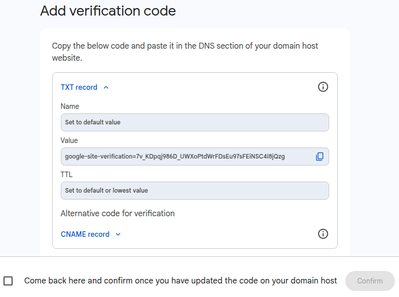 在 Google Workspace 中复制 TXT 值