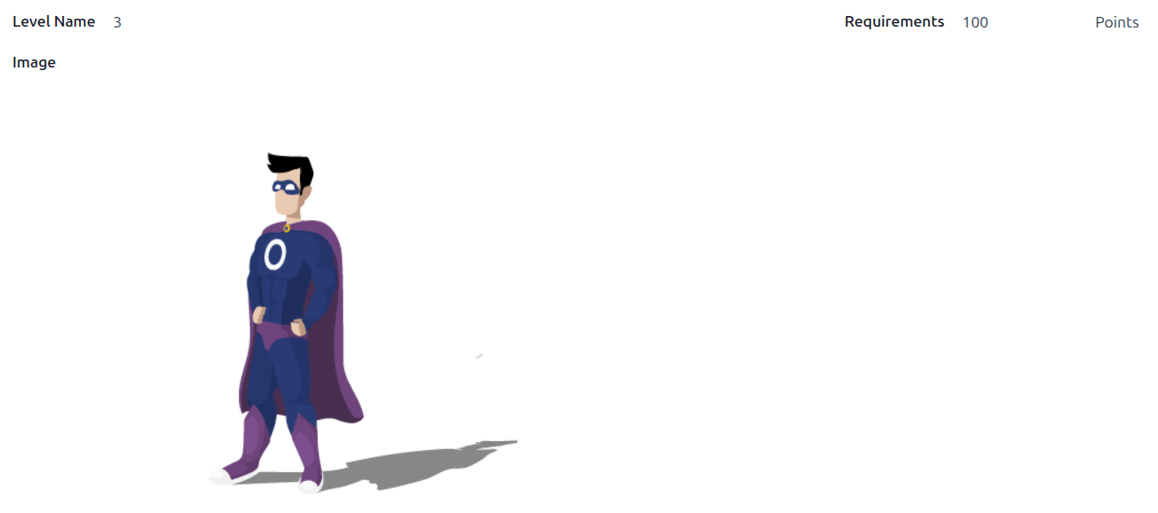 A level form in edit mode.