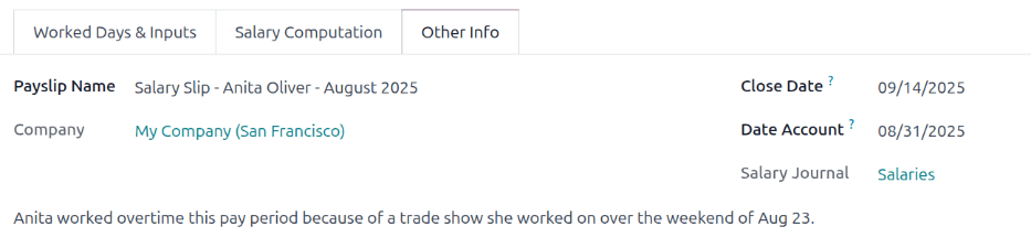 其他信息选项卡中填写的字段。