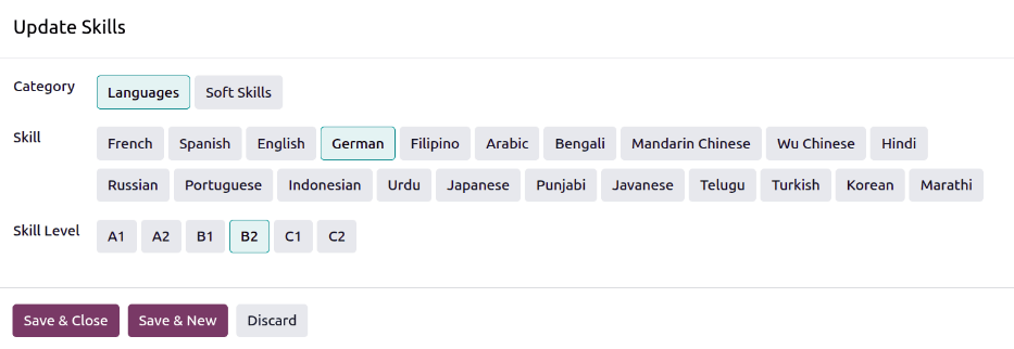 Un formulario de habilidades con la información completada.