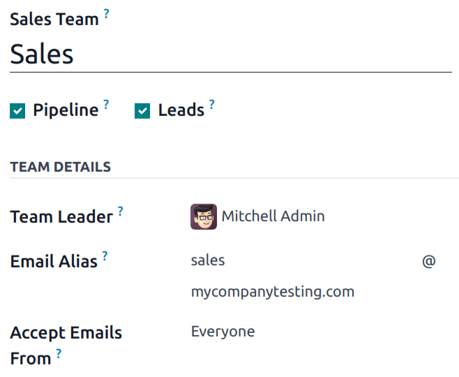 Halaman detail tim sales, terpusat pada bagian alias email.