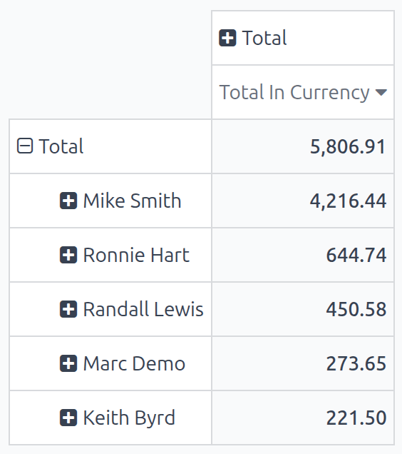 A pivot table with the information shown by employee, in descending order.